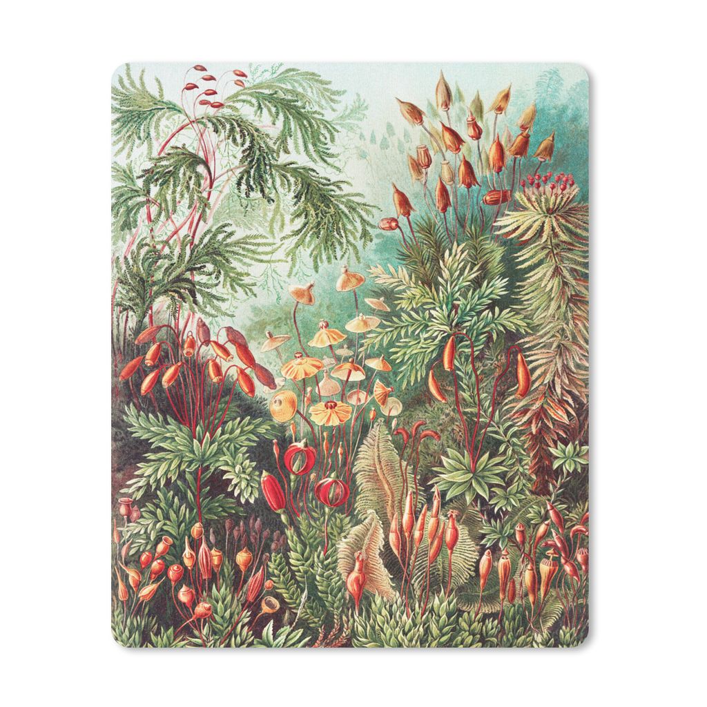 MuchoWow Mauspad Mousepad Blumen - Kunst - Vintage - Natur - Botanisch 30x40 cm - Mousepads - Maus Mat - Pad - Mausunterlage - Mausmatten