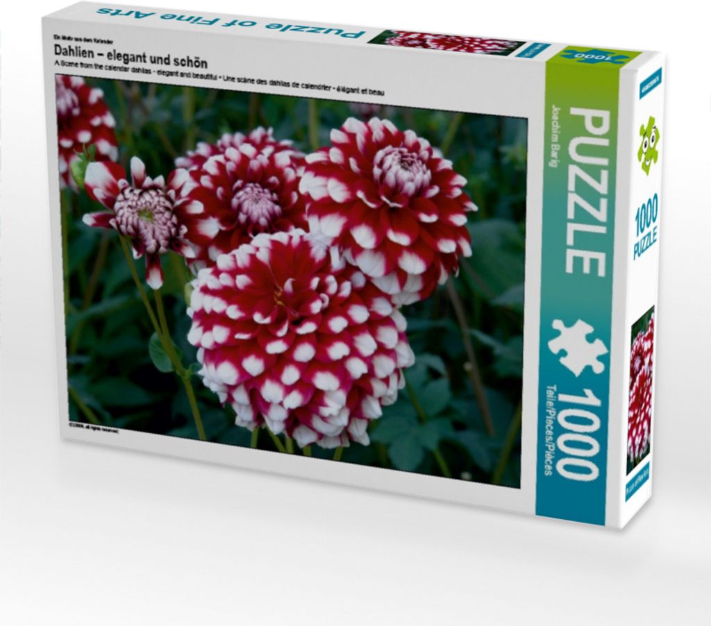 Calvendo Ein Motiv aus dem Kalender Dahlien – elegant und schön 1000 Teile Puzzle quer 640x480mm, Barig Joachim; 7362033