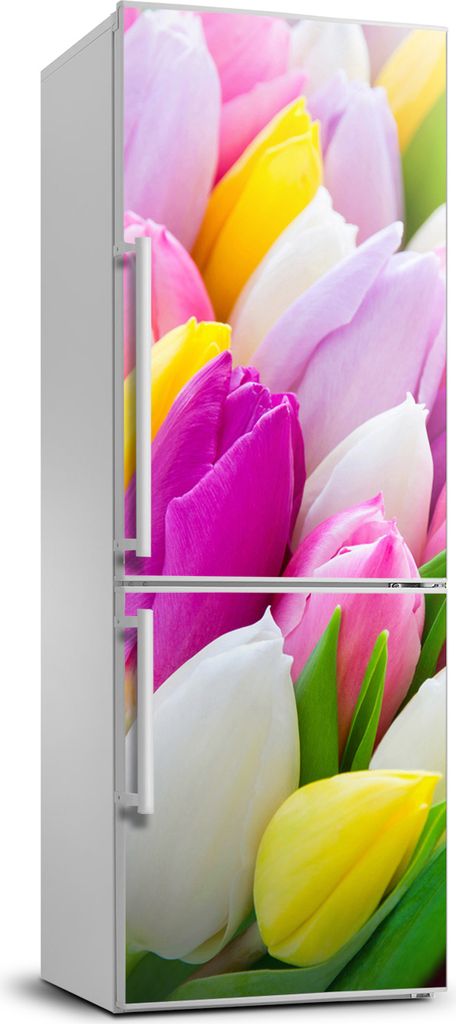 Tulup Kühlschrankdekoration - 70x190 cm - Aufkleber auf dem Kühlschrank - bunte Tulpen