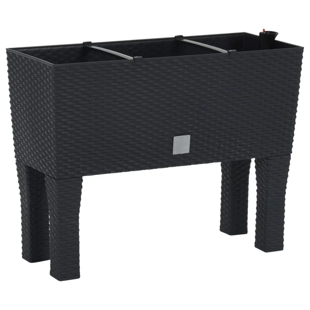 Lit de culture pour potager de balcon Anthracite 60x25 cm en PP-Rattan