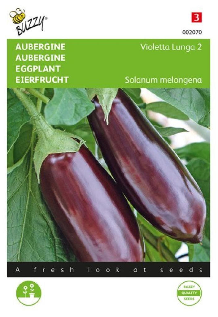 Buzzy Aubergine Violetta Lunga 2 Produktbild 
