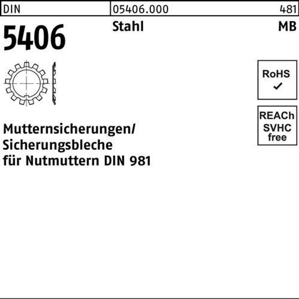 Reyher Sicherungsbleche DIN 5406 St. MB 29/M 145x2 (5 Stück)