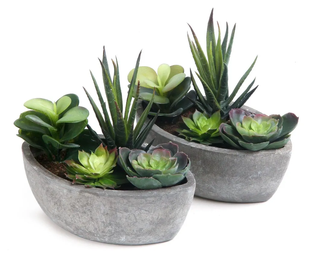 Plante Succulente Artificielle : Déco Verte Lot de 2 pour Coins Sombres