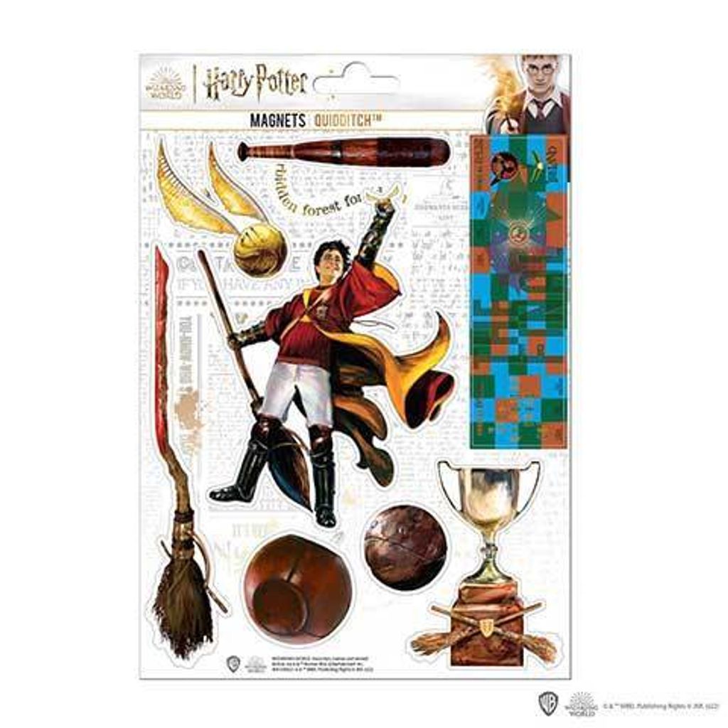 Harry Potter Magnete Quidditch
