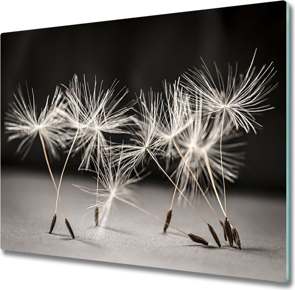 Glas Herdabdeckplatte 60x52 cm Spritzschutz Glasabdeckplatte Schneidebrett Pusteblume Samen