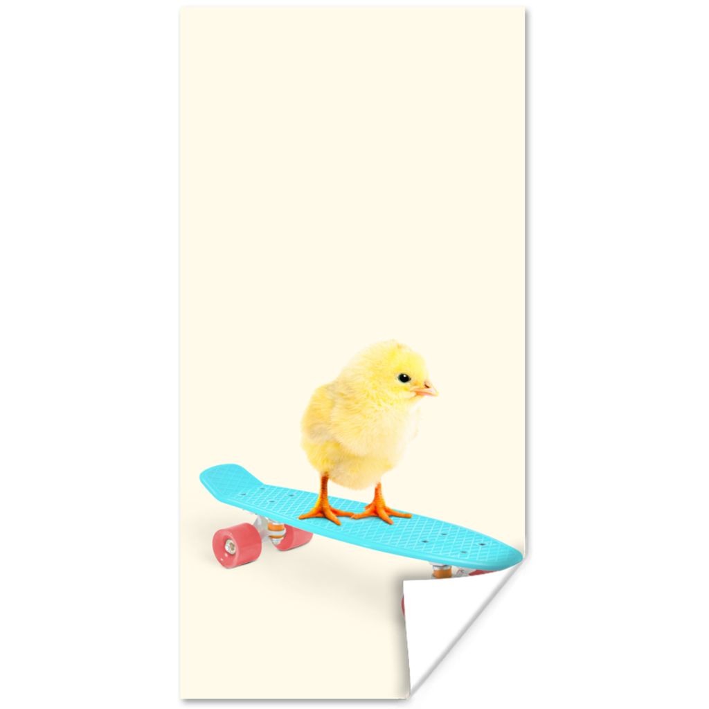 MuchoWow Poster Küken - Gelb - Skateboard - Blau - Tiere 75x150 cm - Dekoration für die Wände