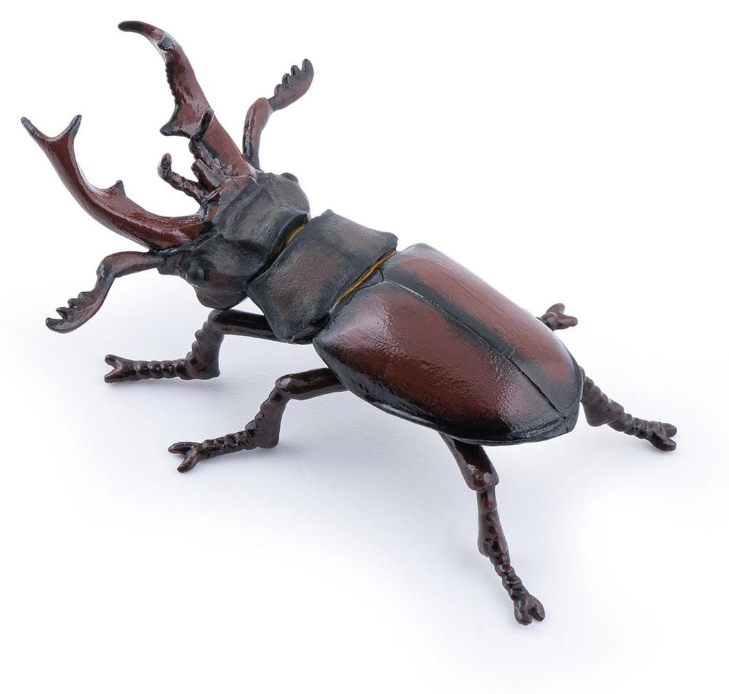 Papo Wild Life Cervo volante 50281 Immagine del prodotto 