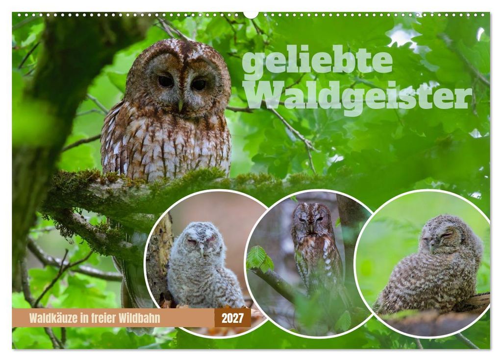 geliebte Waldgeister (Wandkalender 2027 DIN A2 quer), CALVENDO Monatskalender