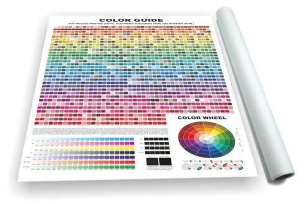 Nuancier PANTONE CMJN C+U Color Guide pour Impression et Design Web