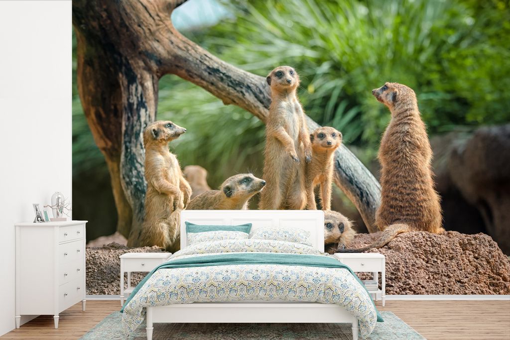 MuchoWow Fototapete für Wohnzimmer oder Schlafzimmer Wandtapete Vinyl Motivtapete Erdmännchen - Familie - Tiere - 390x260 cm - Papiertapete