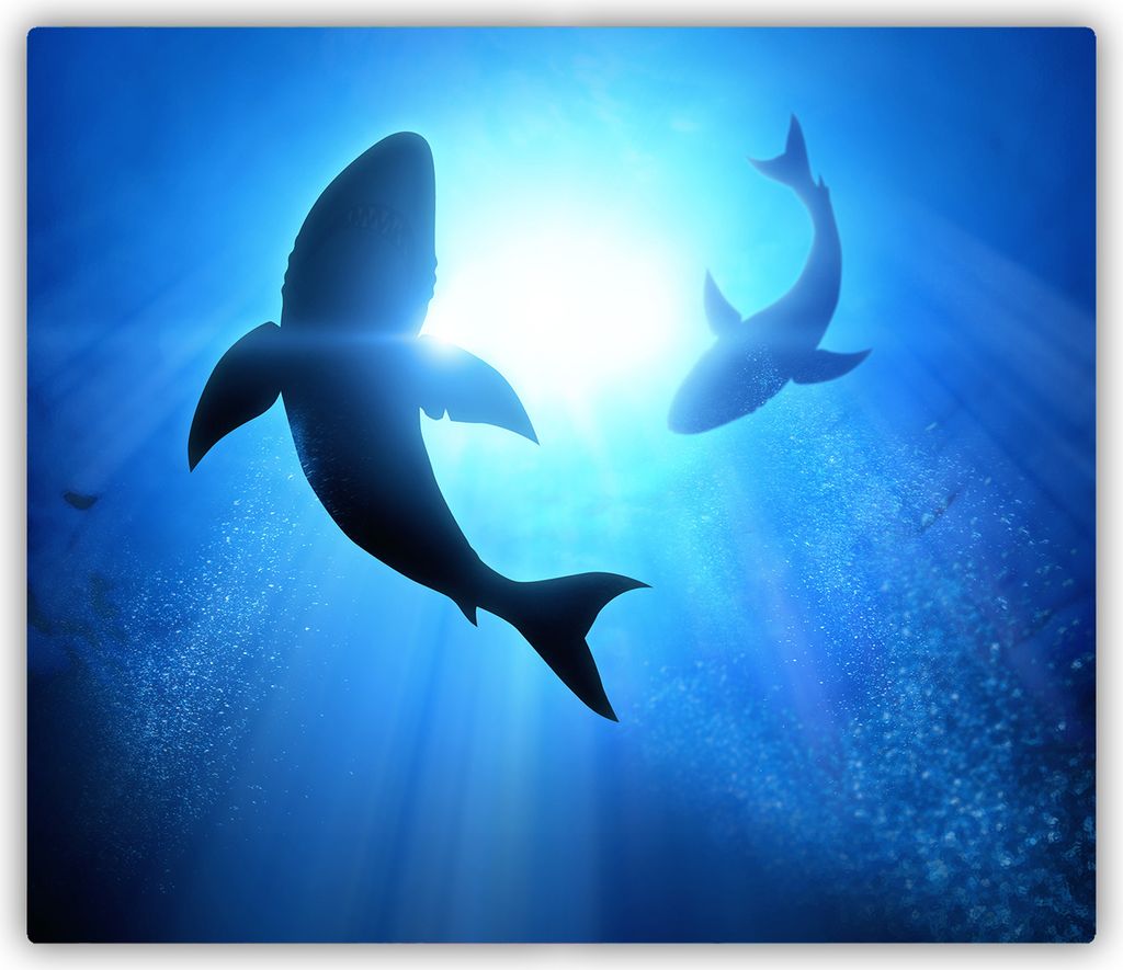 Tulup Glas Herdabdeckplatte Glaskeramikkochfeld-Abdeckung Spritzschutz Glasabdeckplatte Kochplattenabdeckung und Schneidebrett - Einteilig - 60x52 ...