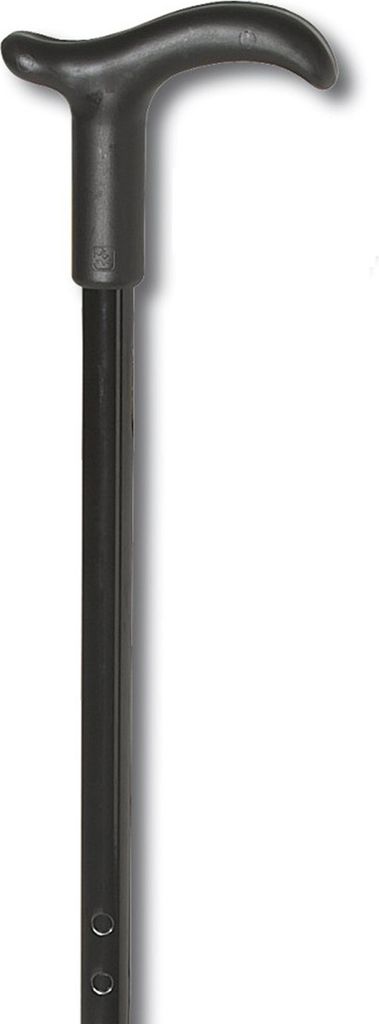 Gehstock Simplex mit Fritzgriff Produktbild 