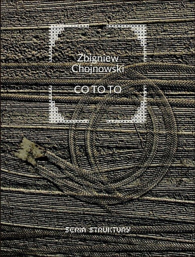 Co to to - Zbigniew Chojnowski (Literatur: Poesie auf Polnisch)