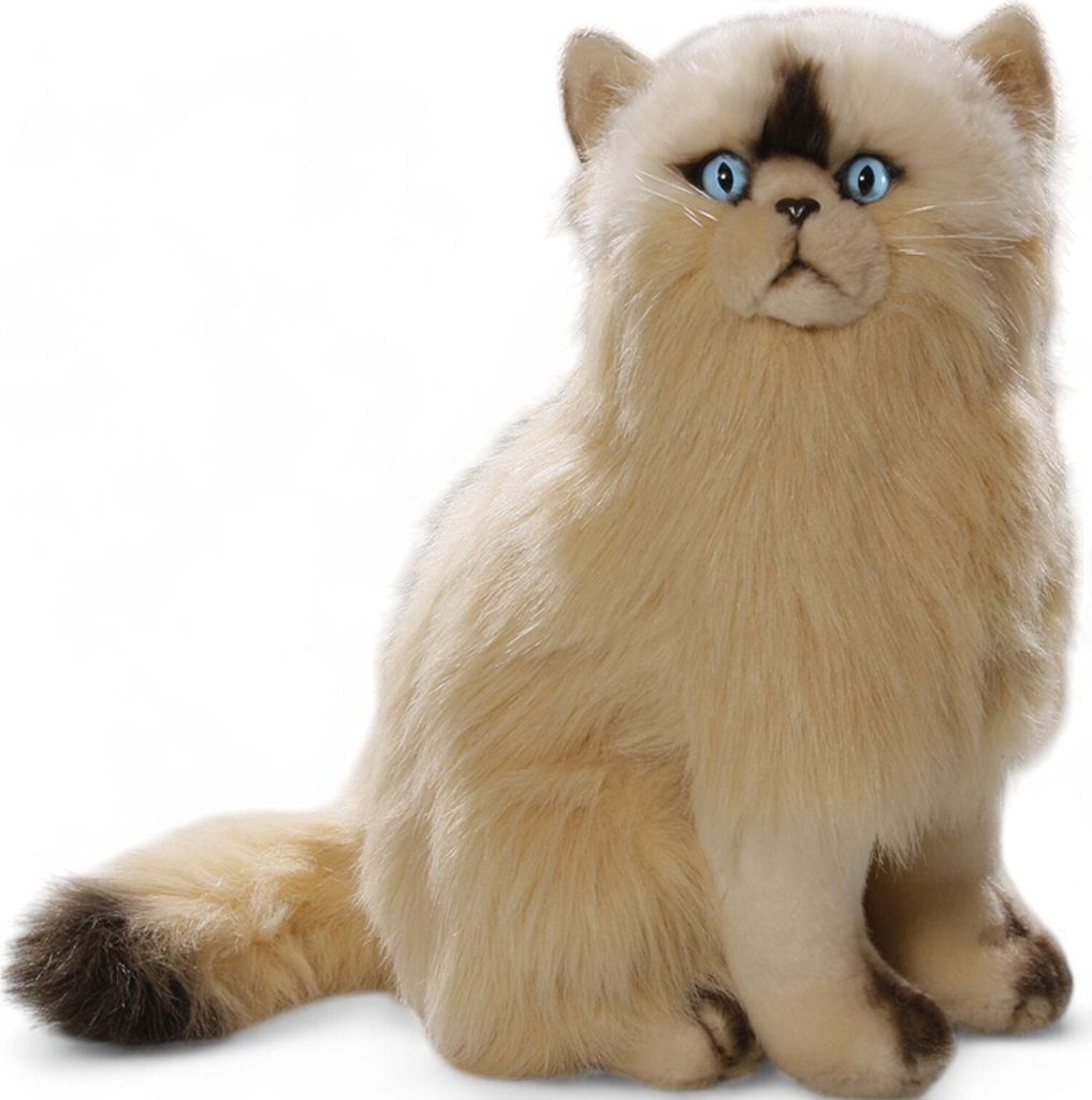 A plush toy cat sitting on a white background.