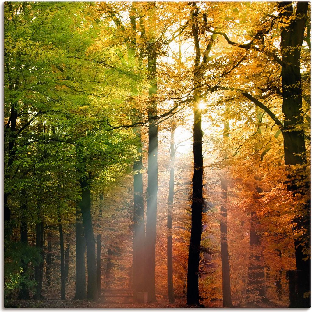 ARTland Leinwandbild Schöner Herbsttag 2 Größe: 30x30 cm