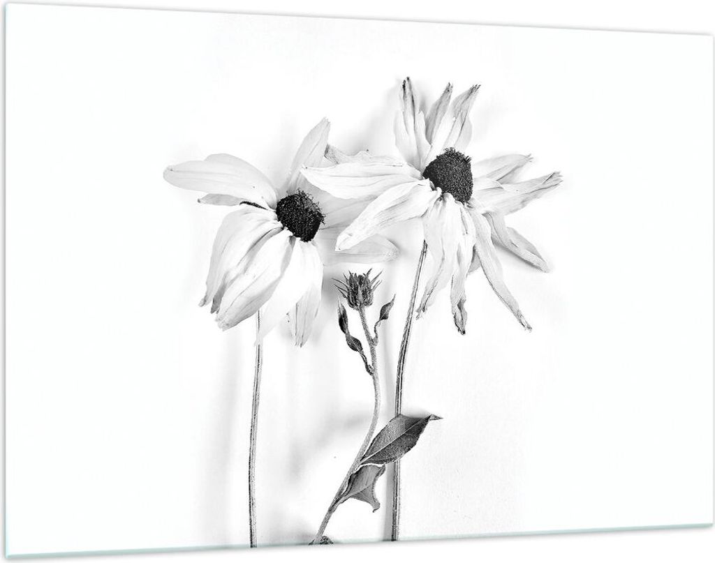 Bilder auf glas - Einteilig - Verwelkt Blumen Monochrom - 120x80cm - Glasbilder - Wandbilder - Bilder - Wanddekoration aus Glas - Glas Bilder - Wan...