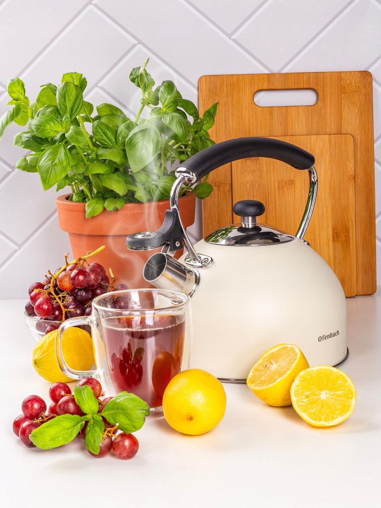Traditioneller Wasserkessel Mit Pfeifer Für Gas Und Induktion Ofenbach