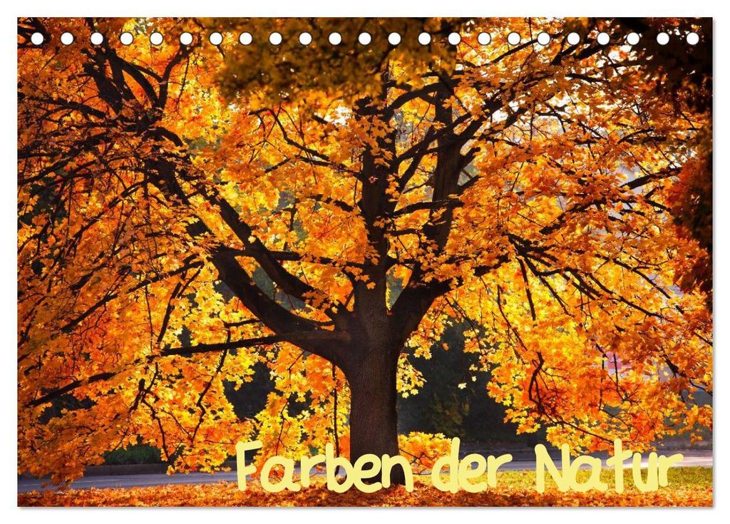 Farben der Natur (Tischkalender 2027 DIN A5 quer), CALVENDO Monatskalender