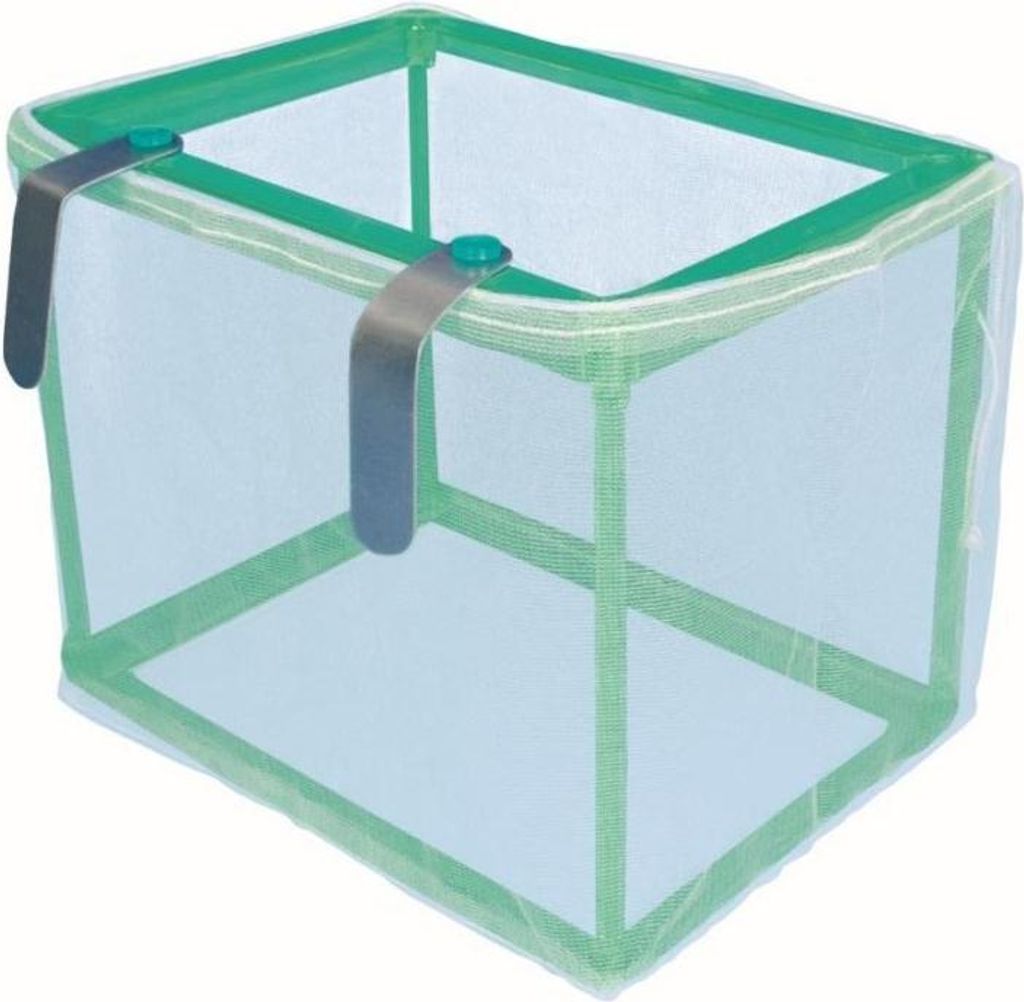 A product shot of a fish tank breeding box.