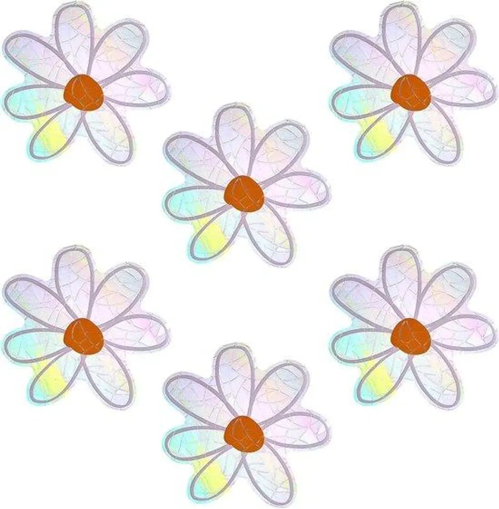 Lot de 6 Autocollants Arc-en-ciel et Oiseaux Anti-collision Fenêtre