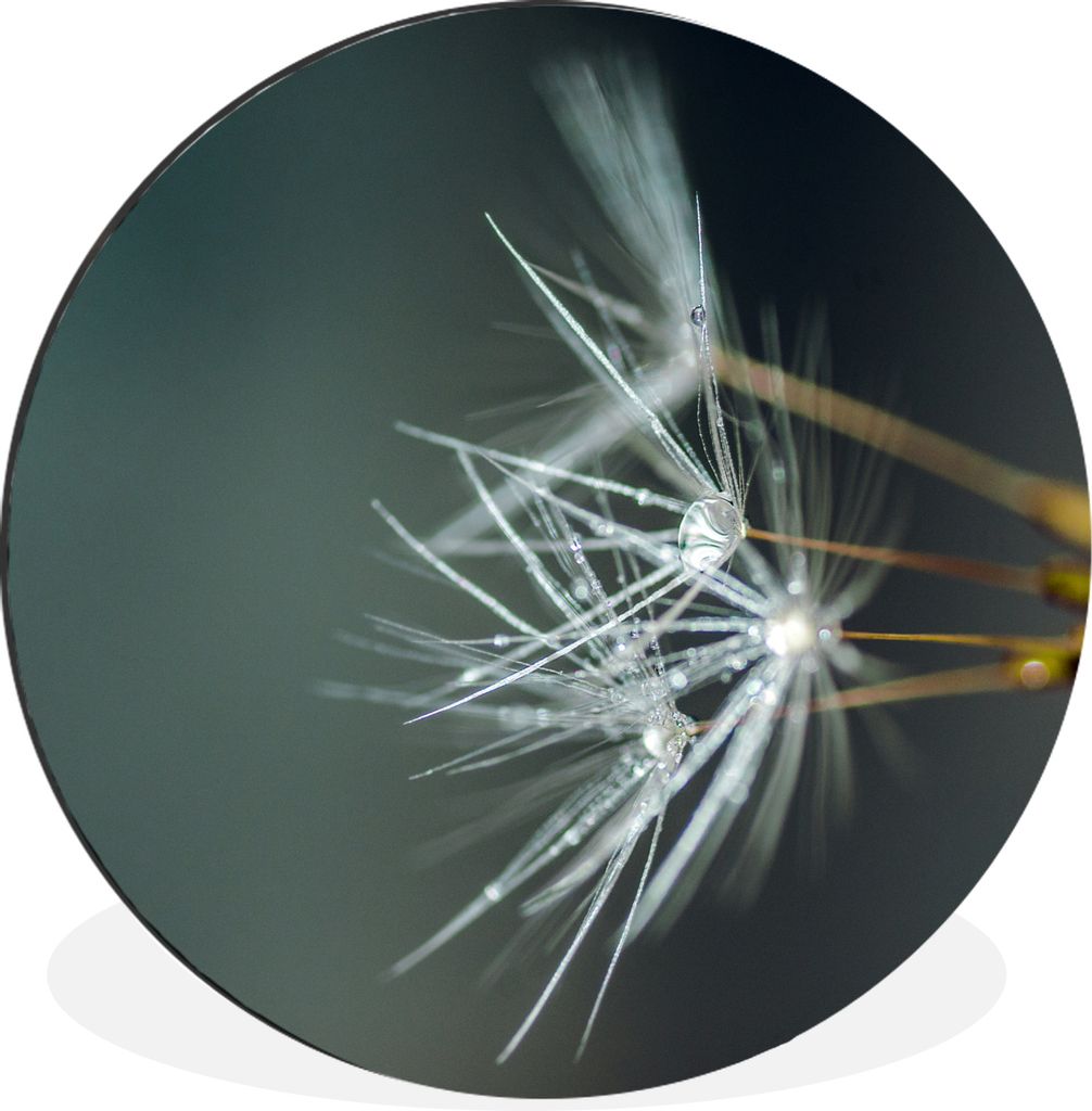 MuchoWow - Wand Bild - Wohnzimmer - Runde Bilder - Alubilder - Kunst für zu Hause - Aluminium - Wanddekoration