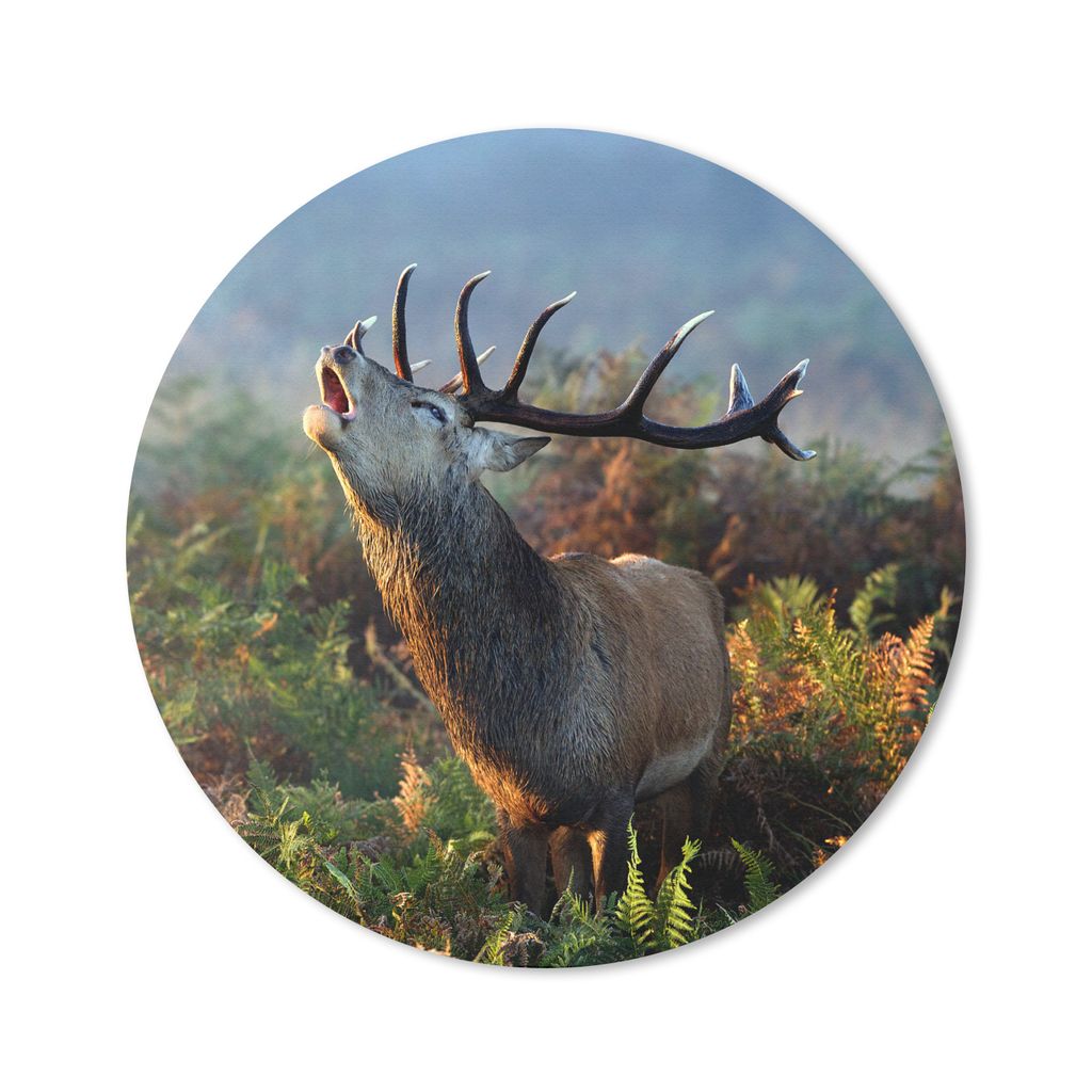 MuchoWow Mauspad Mousepad Hirsche - Wald - Nebel 20x20 cm - Mousepads - Maus Mat - Pad - Mausunterlage - Schreibtischmatte