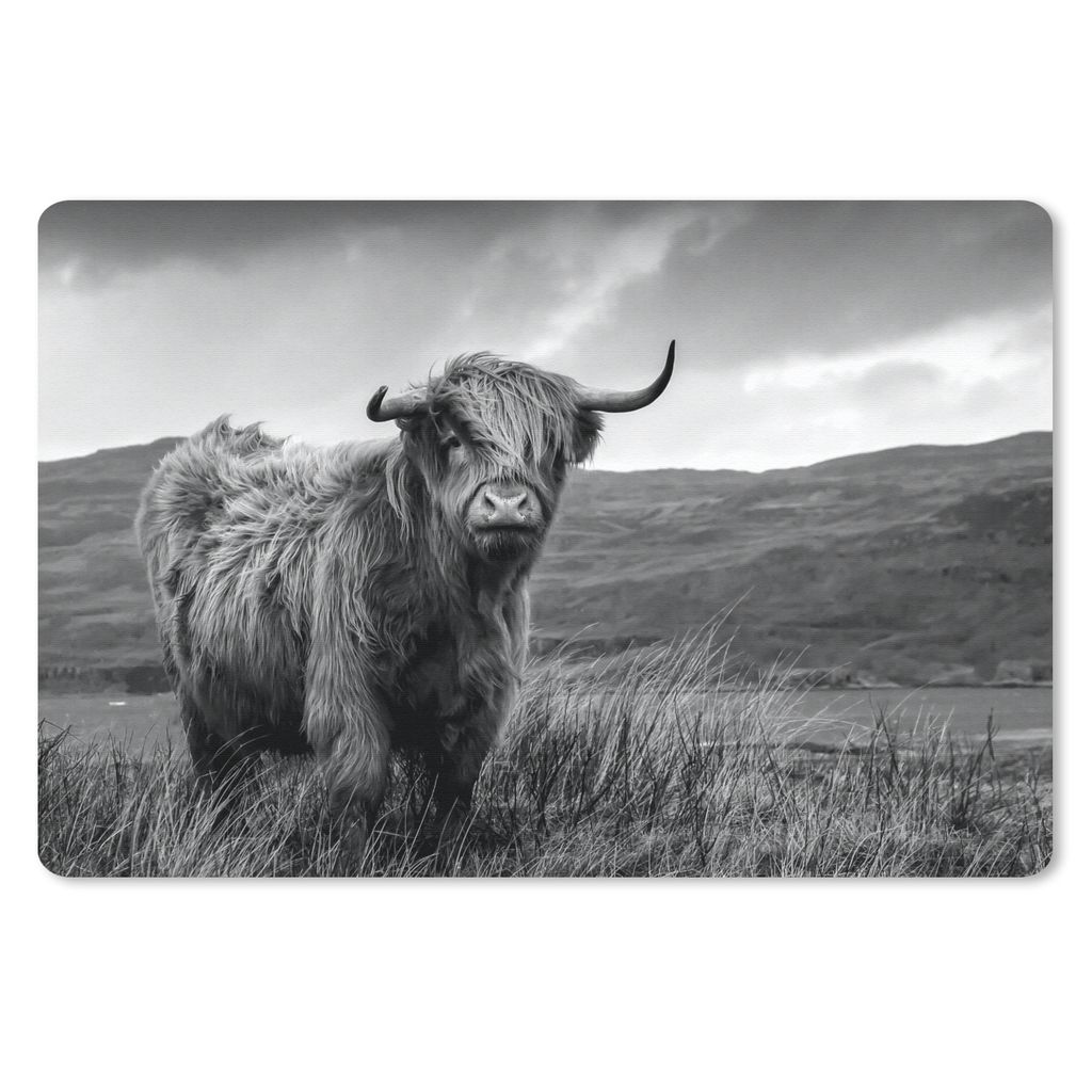 MuchoWow Schreibtischunterlage Schottischer Highlander - Berg - Wasser - Natur - Kuh 60x40 cm - XXL Mauspad - Großes Mauspad