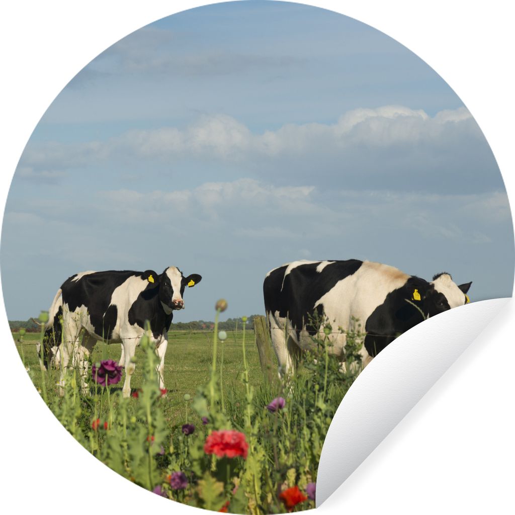 MuchoWow Runde Wandtattoo - Wandsticker Tapete Aufkleber Kuh - Blumen - Gras - Tiere Ø 50 cm Selbstklebend und Repositionierbar - Wandaufkleber ...