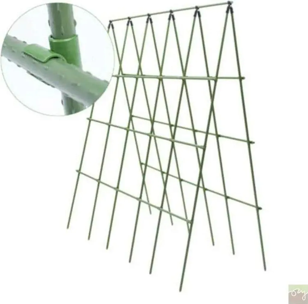 Support de croissance 180cm pour plantes grimpantes et tomates en acier - 3