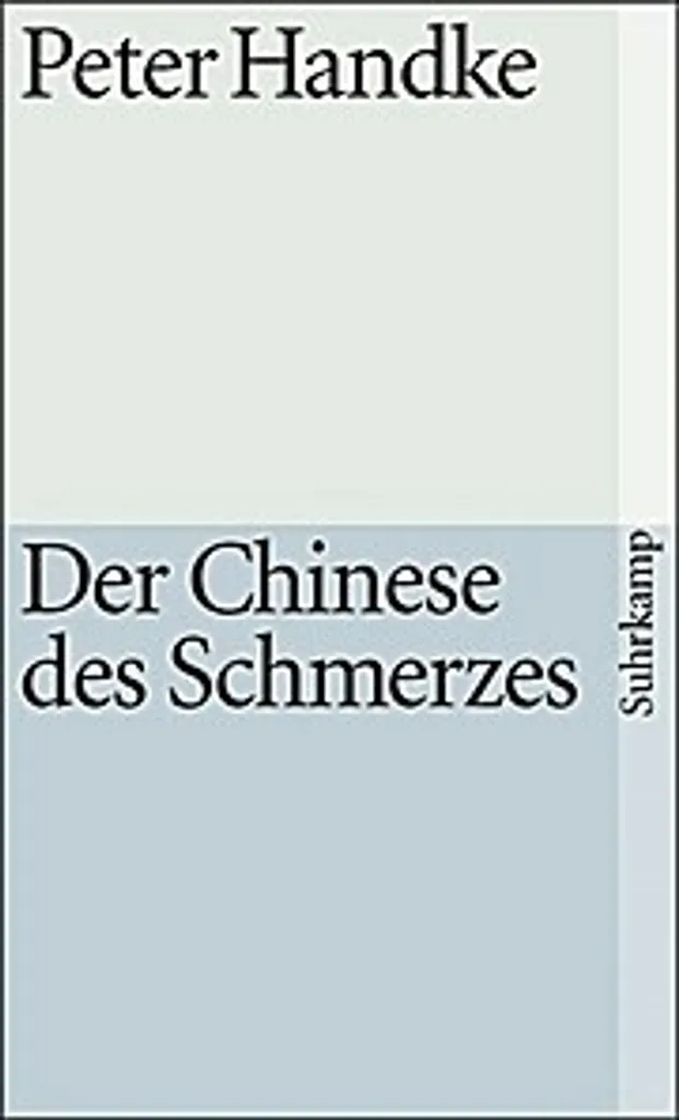 Der Chinese des Schmerzes : Le roman idéal pour réfléchir sur la morale
