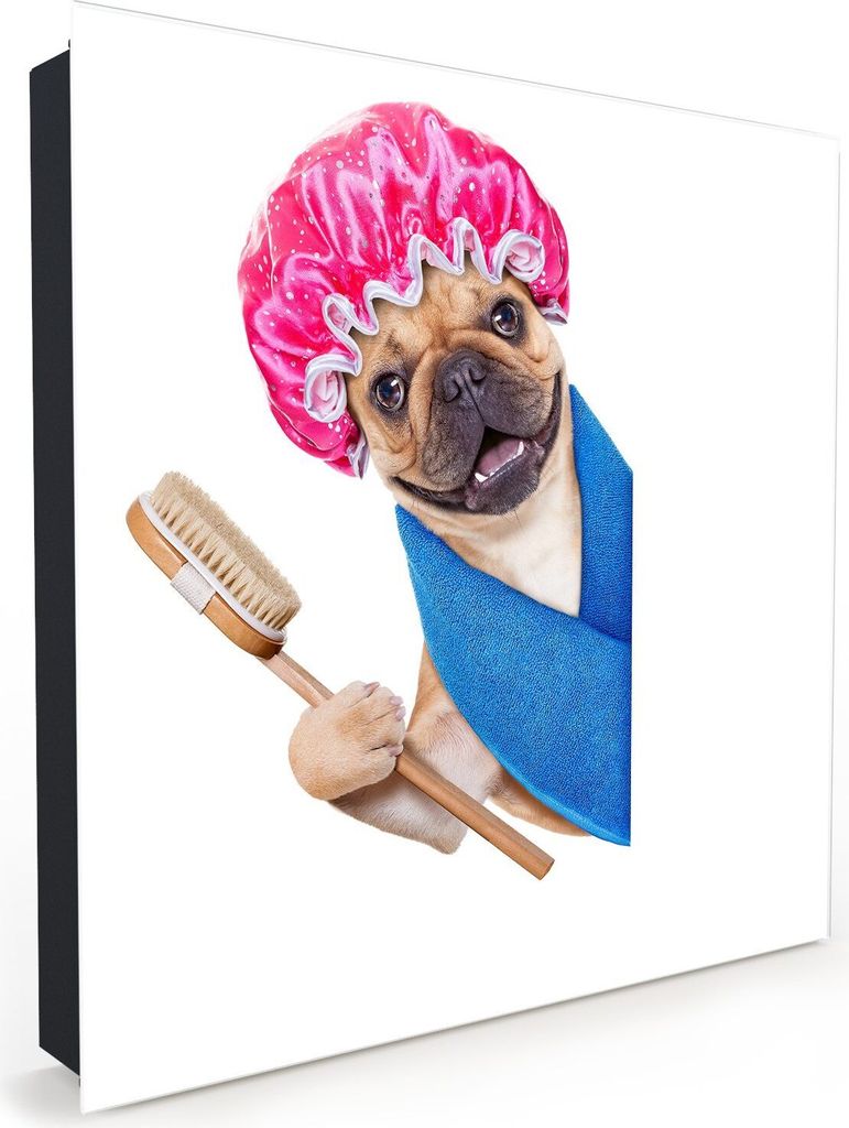 Nachbildung-Schlüsselkasten, Magnetpinnwand und Memoboard mit Glasfront Motiv Hund mit Haube