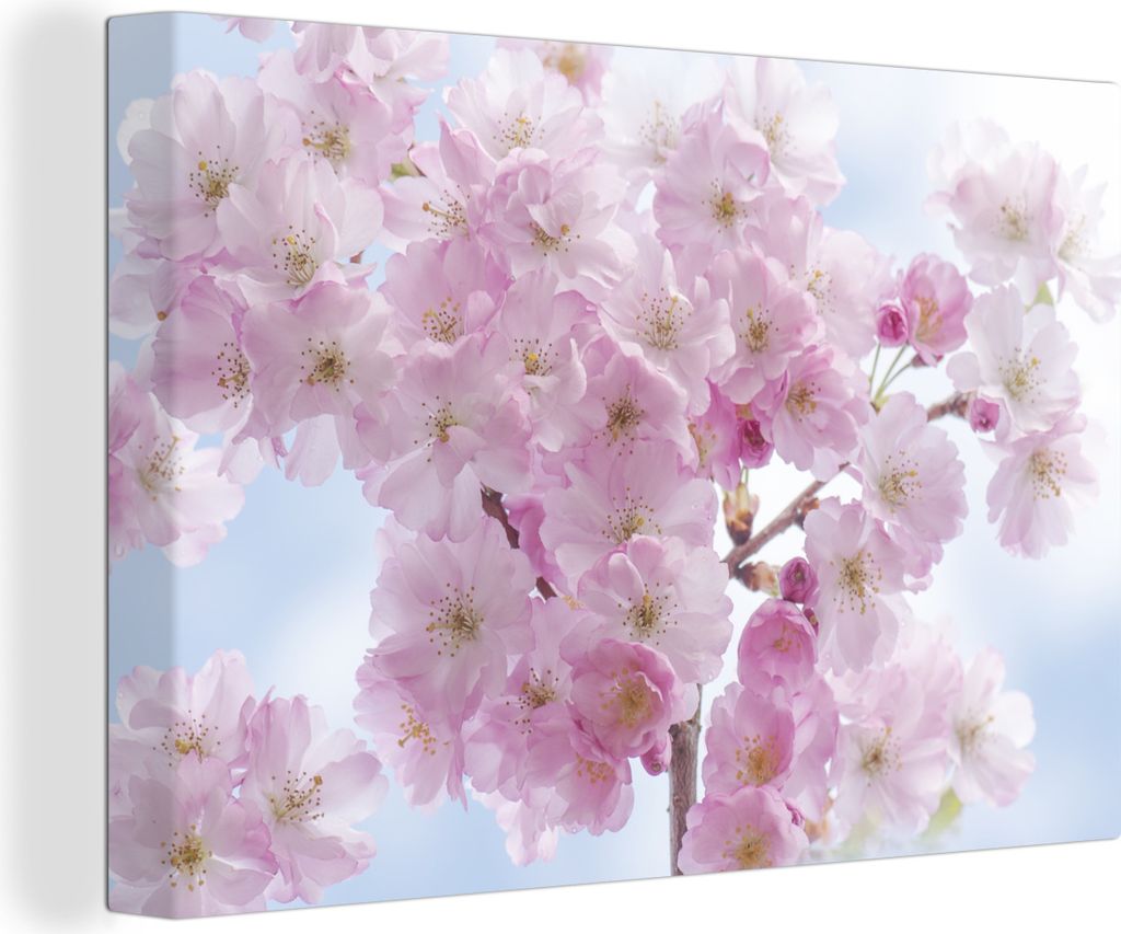 OneMillionCanvasses - Leinwandbilder - 150x100 cm, Blüte - Kirschbaum - Frühling, Wandbilder Kunstdruck Wanddekoration