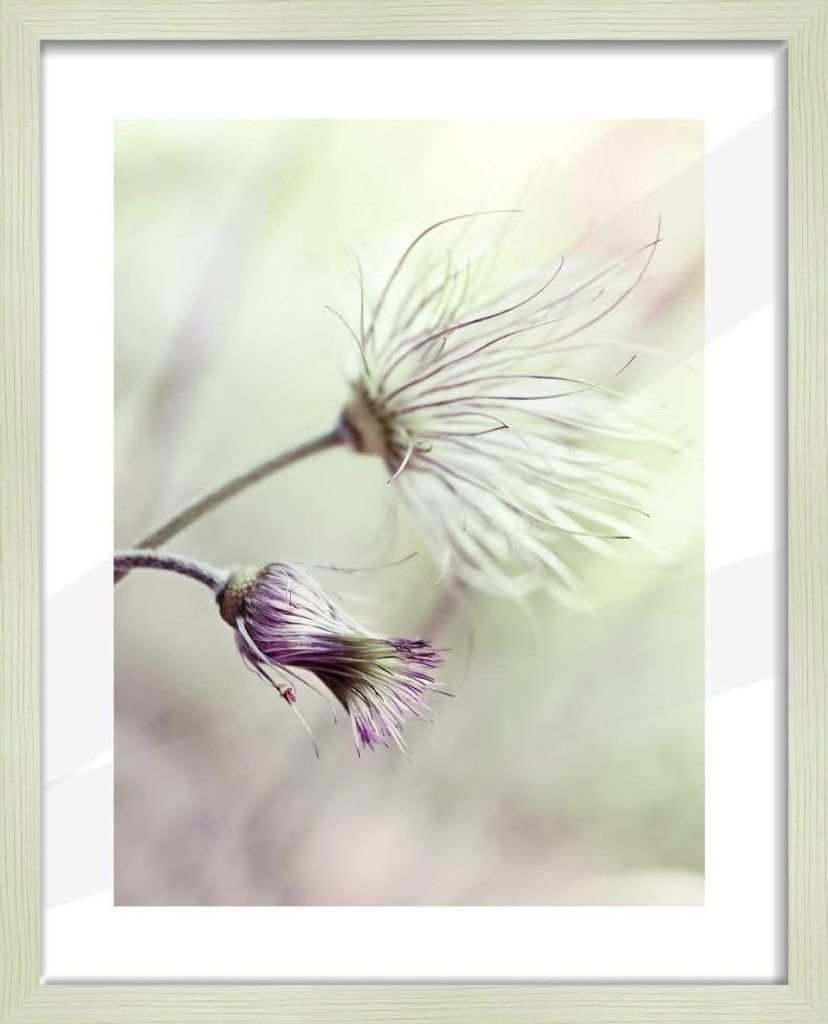 Bilderrahmen Holz Arosa eiche weiß 40 x 50 cm