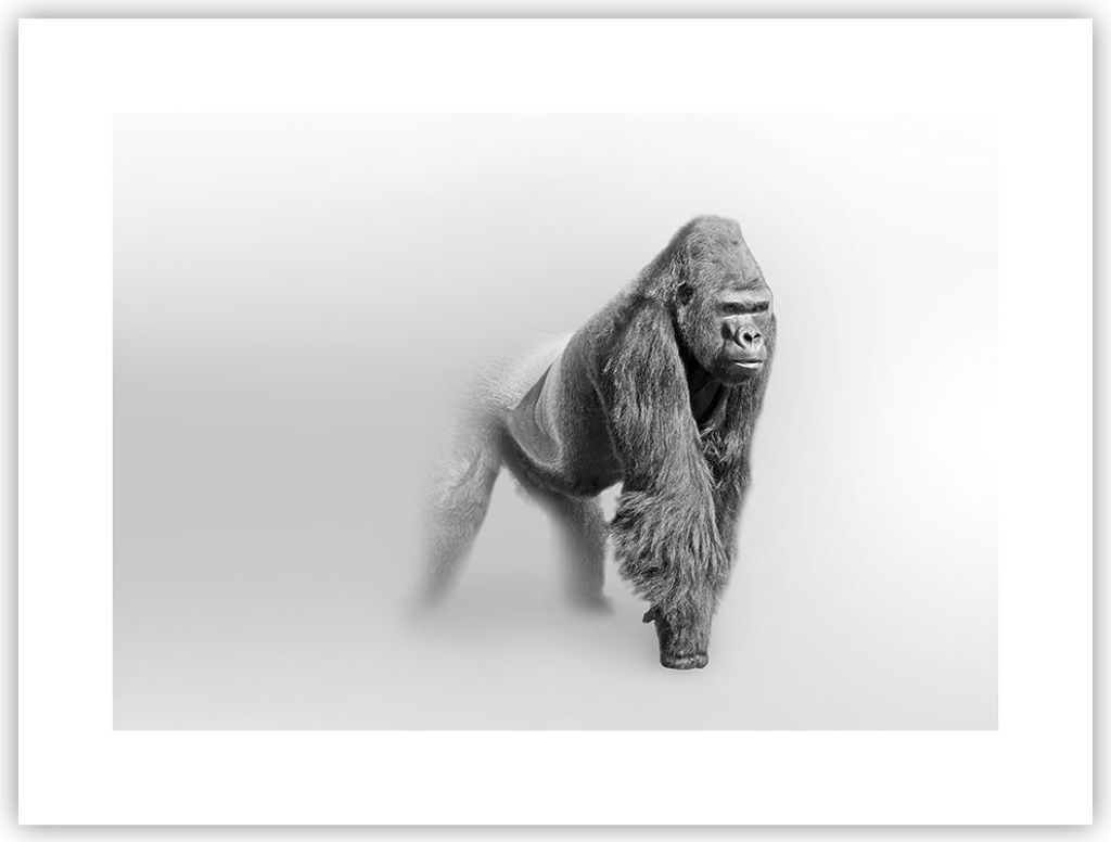 Poster - Poster ohne Rahmen - Orang-Utan Tier - 40x30 cm - Wand Bild - Wanddeko - Wandbilder - Kunstposter - Wandposter - Bilder - Kunstdruck - Wan...