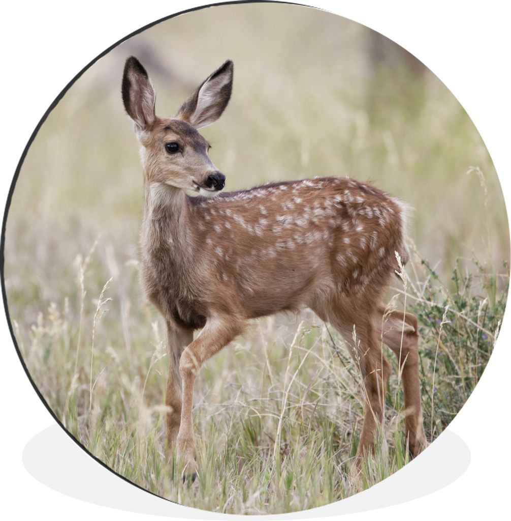 MuchoWow - Mauerkreis - Wandbilder - Runde Bild - Bild aus Aluminium - Schlafzimmer - Wohnzimmerdekoration - Wand Dekoration