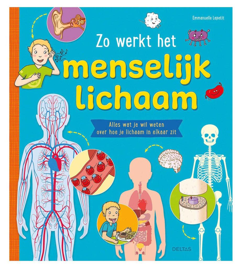 Deltas ist die Funktionsweise des menschlichen Körpers