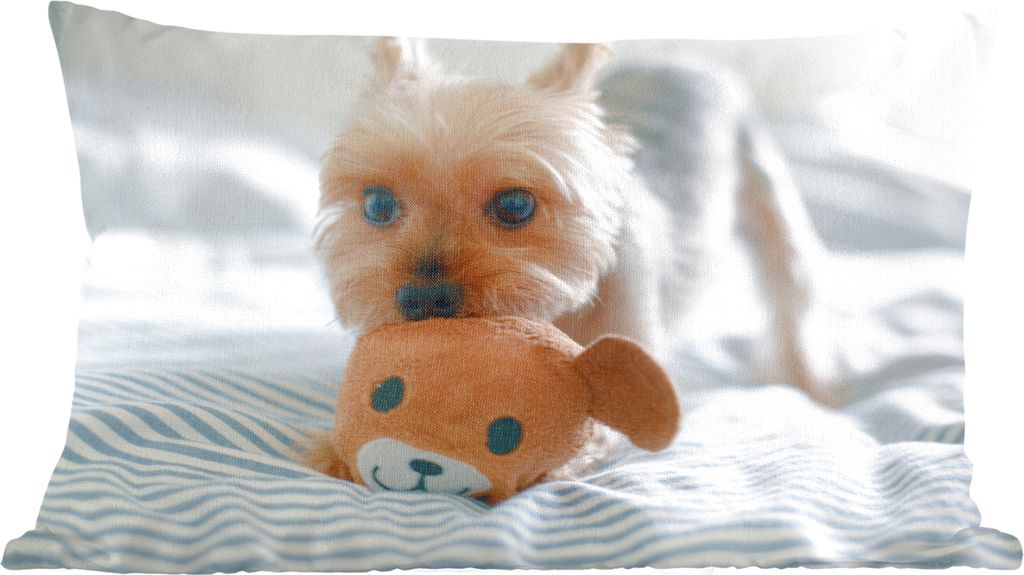 MuchoWow Zierkissen Sofakissen Wohnzimmer Dekokissen 50x30 cm Der Yorkshire Terrier spielt mit Spielzeug - Wohnzimmerdekoration - Polster mit Photo