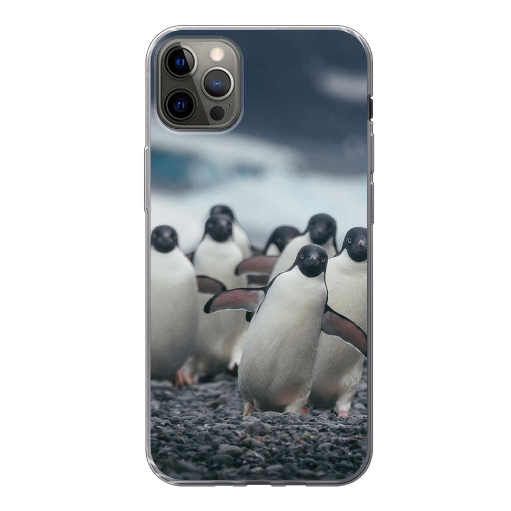MuchoWow Handyhülle Schutzhülle Hülle für iPhone 12 Pro Max Adeliepinguine am Strand Silikon Softcase Handy Hülle - Hartschale
