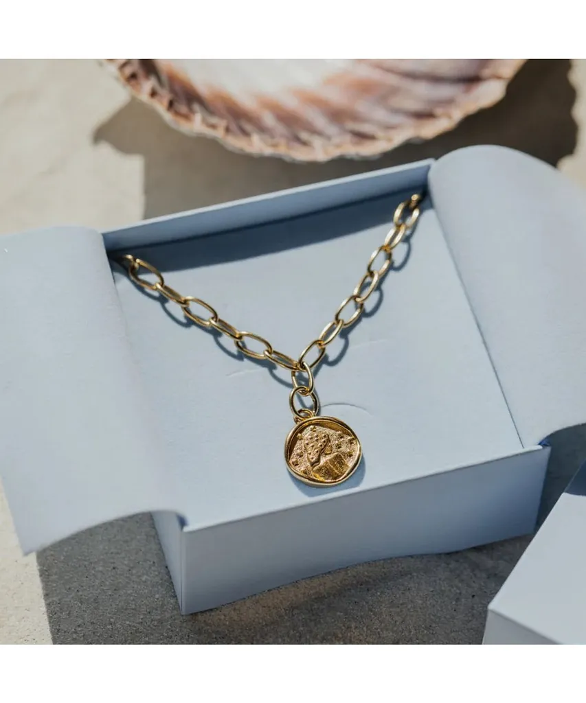 Collier Pendentif Vierge Paul Hewitt - Médaille Tendance en Acier