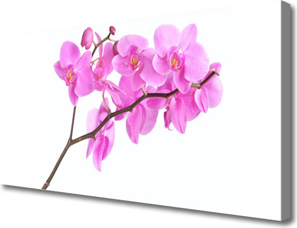 Tulup Leinwand-Bilder 100x50 Wandbild Canvas Kunstdruck Blumen Pflanzen