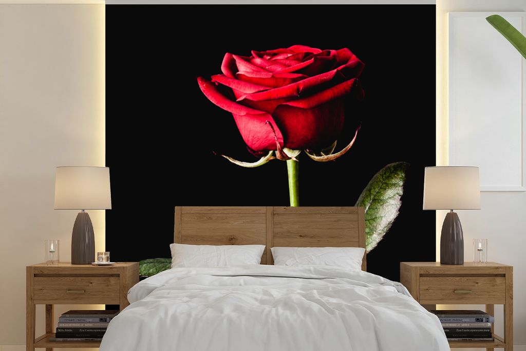 MuchoWow Fototapete für Wohnzimmer oder Schlafzimmer Wandtapete Vinyl Motivtapete Eine rote Rose auf schwarzem Hintergrund - 260x260 cm - Papier...