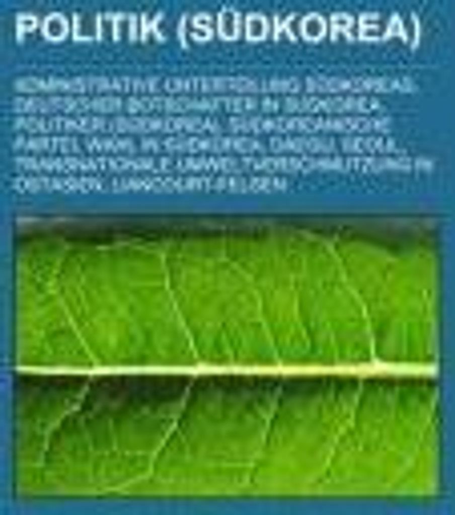 Politik (Südkorea)