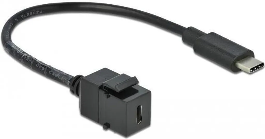 Delock Keystone USB-C 5 Gbps mâle avec câble 25cm - Réf 86955 Noir