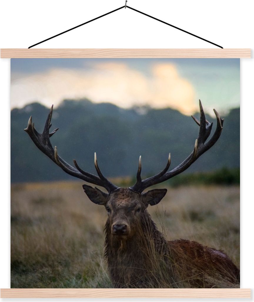 MuchoWow Textilposter Hirsch - Wiese - Geweih 60x60 cm mit holzfarbenen Rahmen - Wanddekoration