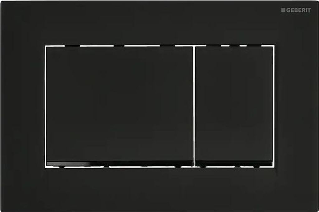 A black toilet flush plate with two buttons.