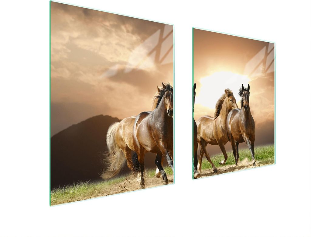 Glasschutzplatte Für Herd 85X52 Pferde