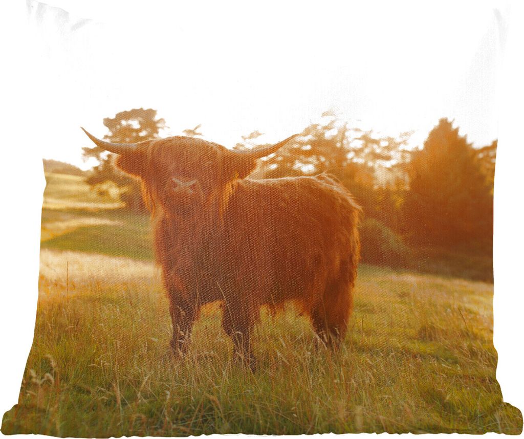 MuchoWow Zierkissen Sofakissen Wohnzimmer Dekokissen 40x40 cm Schottisches Hochlandrind - Gras - Sonne - Foto Kissen - Schlafzimmer Dekoration