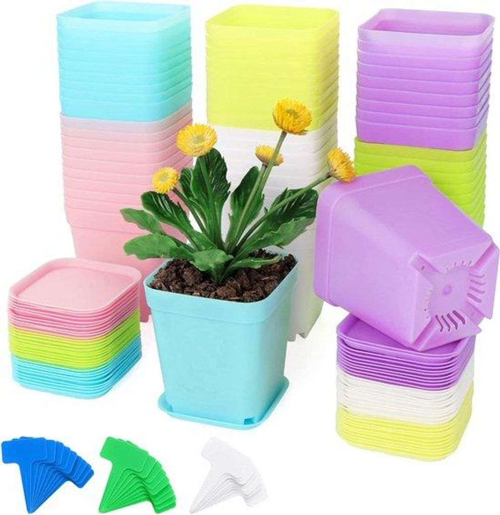 60 kleine Pflanzgefäße mit Blättern - quadratische Pflanzkisten für Setzlinge - farbenfrohe Blumenpflanzgefäße für Garten, Büro und Balkon ...