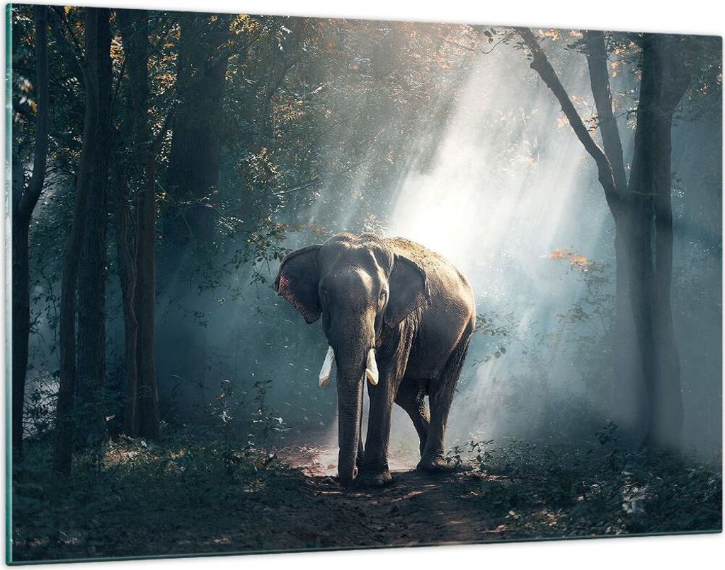 Bilder auf glas - elefant natur - 120x80cm - Glasbilder - Wandbilder - Kunstdruck - zum Aufhängen bereit - Wanddekoration aus Glas - Glas Bilder -...