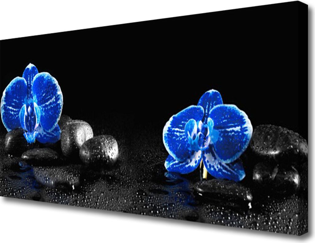 Tulup Leinwand-Bilder 100x50 Wandbild Canvas Kunstdruck Blumen Steine Pflanzen